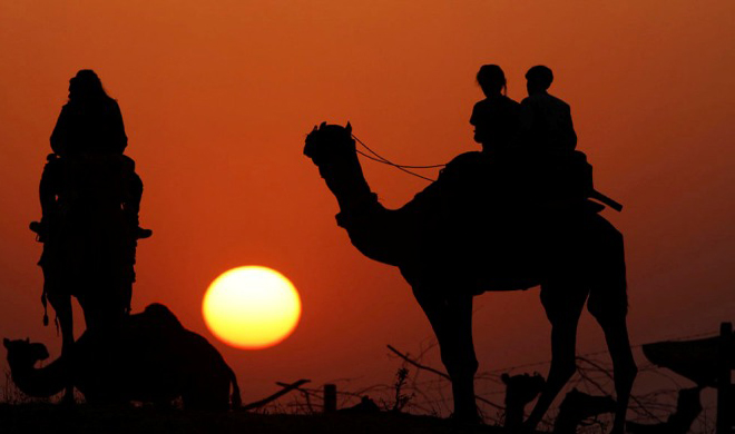 Camel Safari Royal Tent Pushkar