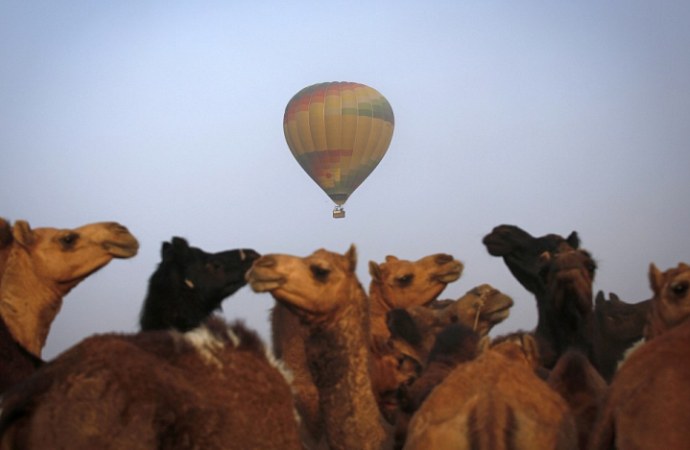 Royal Tent Pushkar- Pushkar Fair